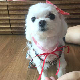 사이다톡톡