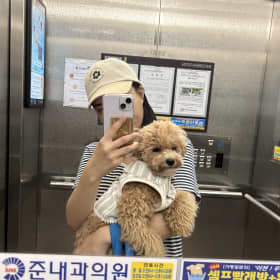 범아재