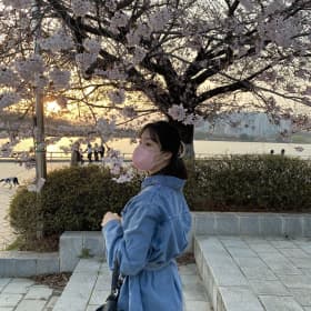 e젤리