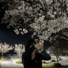 채빵이
