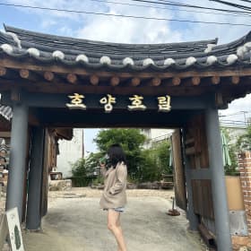 쩡마토