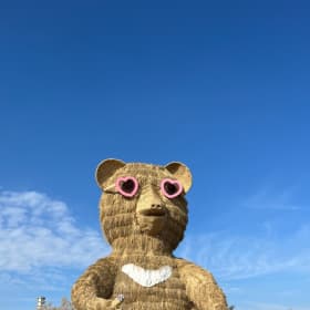 참새씨