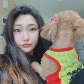 뚜이요