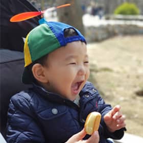 궤변술사