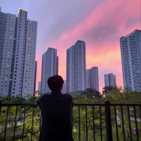 초록짹짹