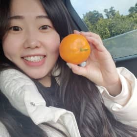 늘적재바라기