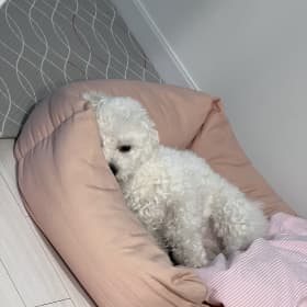 박주아614