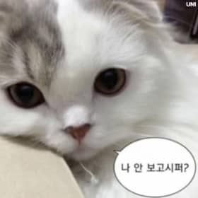 syeon99