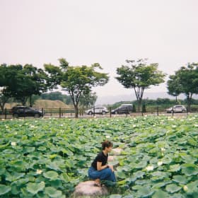 으이요