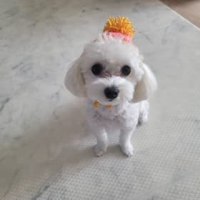 메이베리