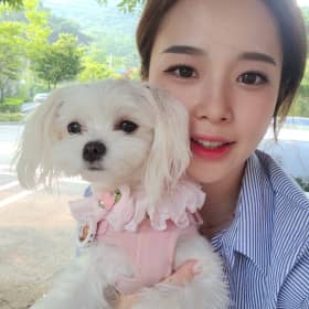 통통한들깨국수