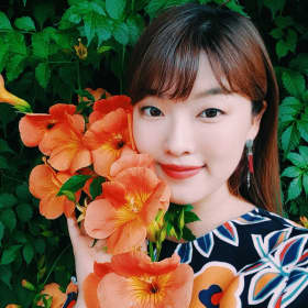 액션불도저