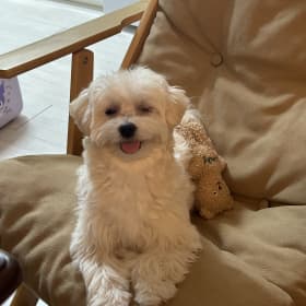 무밍언니