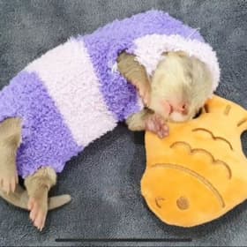 두리맘