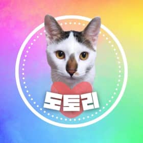 밤톨이토리
