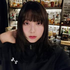 래브라도