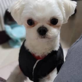 매화동솔이네