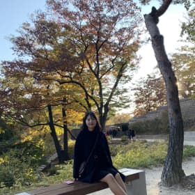 영차22