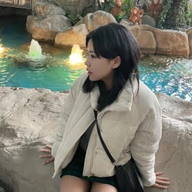 수리니