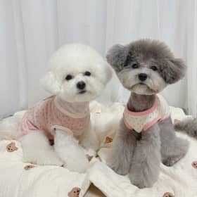둡벨자매