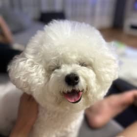 킴치