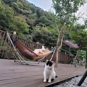 예쿵별