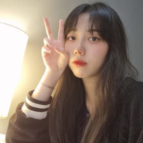 송비버