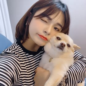 뉴바이올렛