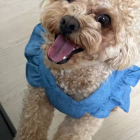 깔라꿍