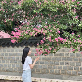 도라에몽더쿠