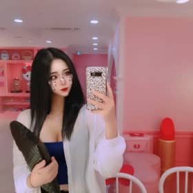 수연시