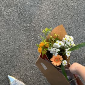 문학소녀