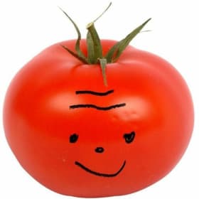 이엉응