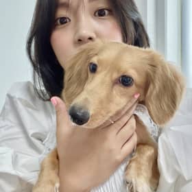 오마이라이푸