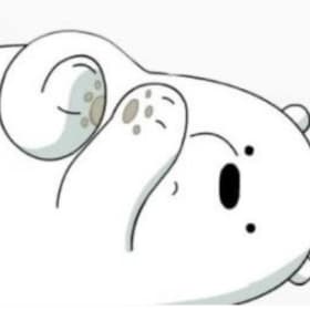 치즈씨