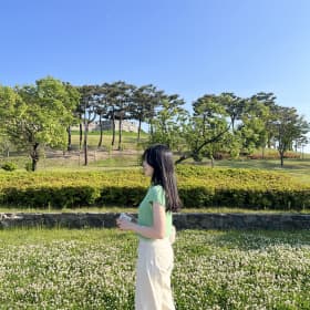 정오디노