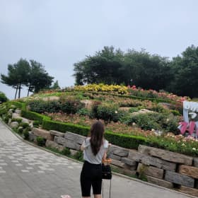 하트젤리