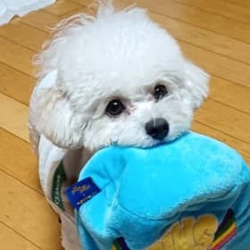 남새싹