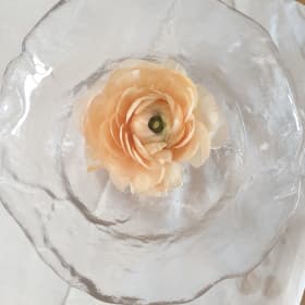 꼬뚜기
