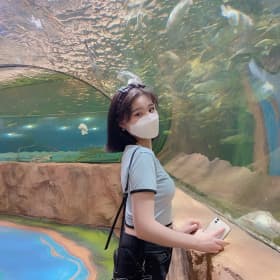 엘라엘라