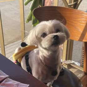 콩이언니