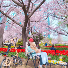 쪠리우스