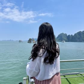 보보뽀