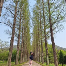 료료