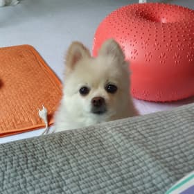 멜루넬루