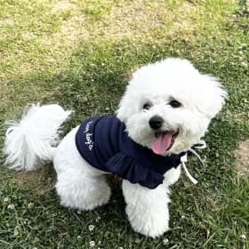 고봉이