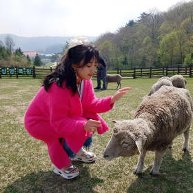 꽃희야