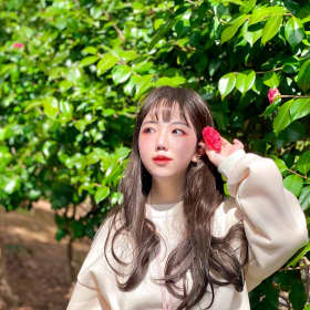 9진진9