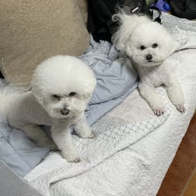 단짠맘
