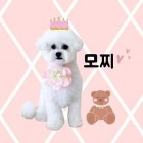 박모찌